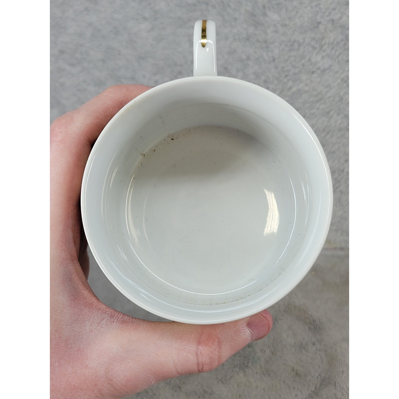 Set of 2 Floral Porcelain Tea Cups Multicolored Gold Trim Botanical Mugs