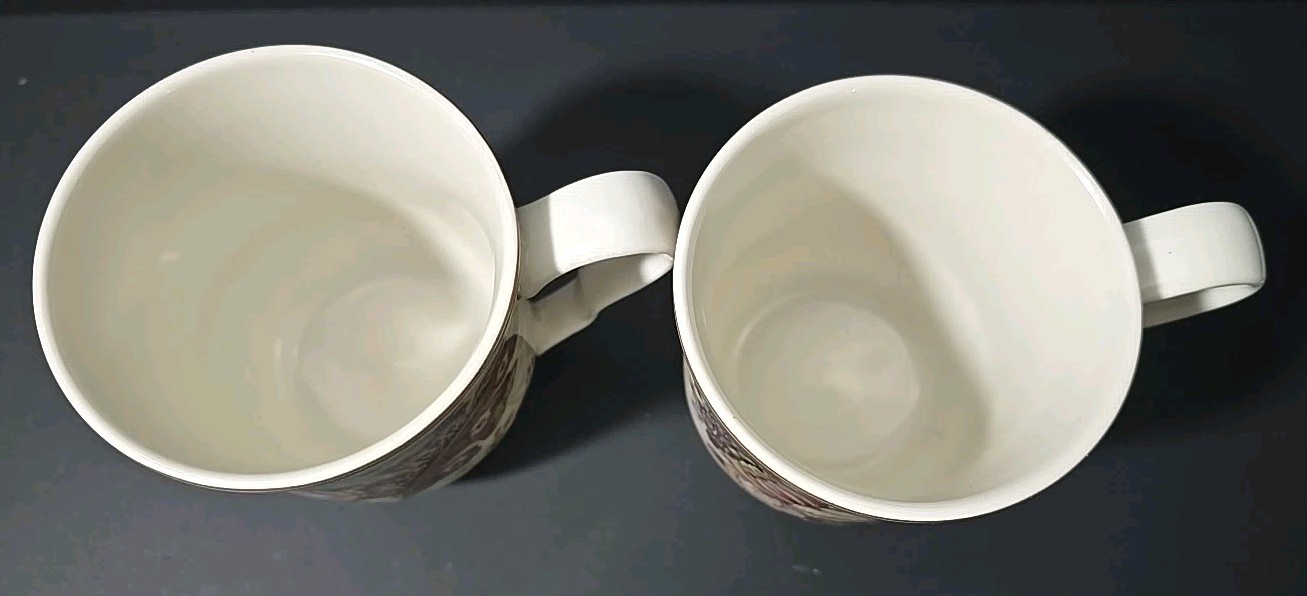 222 Fifth Gabrielle Pink Florals Fine China Cups Tea Mugs (Set of 2)