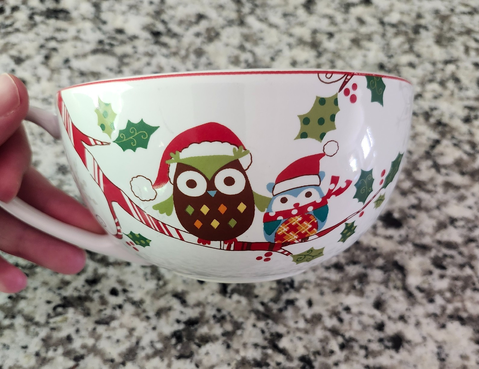 222 Fifth PTS Int Enchanted Woods Mug Owl Christmas Holiday Fine China Jumbo EUC