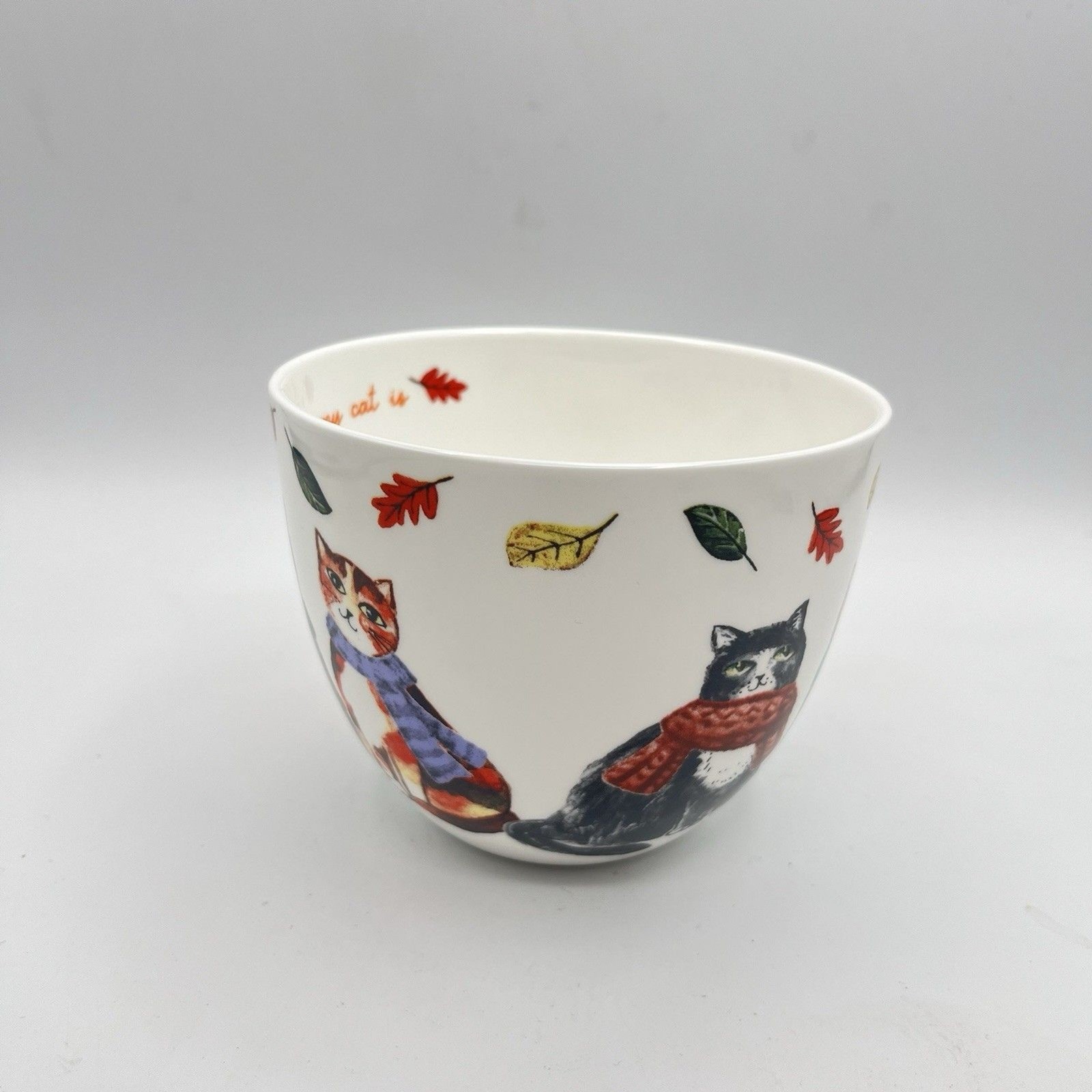 HARVEST GREEN STUDIO “HOME IS WHERE MY CAT IS” MUG