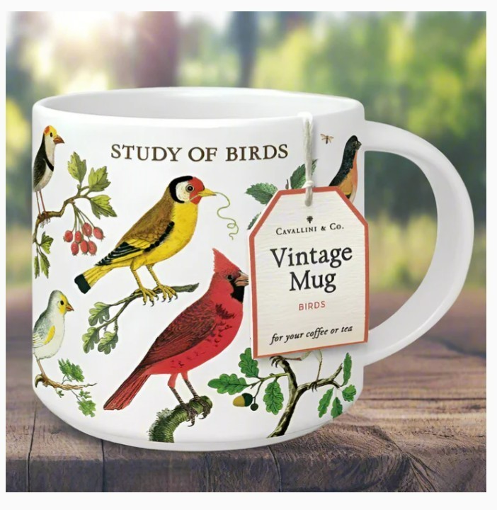 Cavallini & Co., “Birds” Ceramic Coffee Mug, 14 oz, New in Gift Box