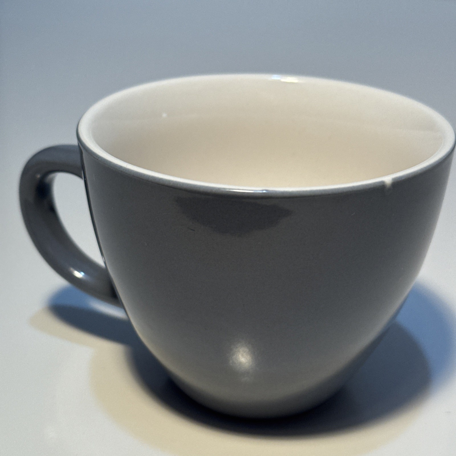 Creature Cup with Hidden 3D Porcelain Sea Turtle Inside – Gray Coffee Tea Mug
