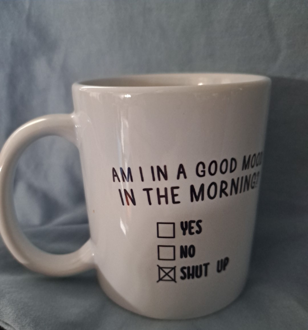 Coffee cup – Am I In A Good Mood In The Morning – Funny Mug – yes, no, shut up