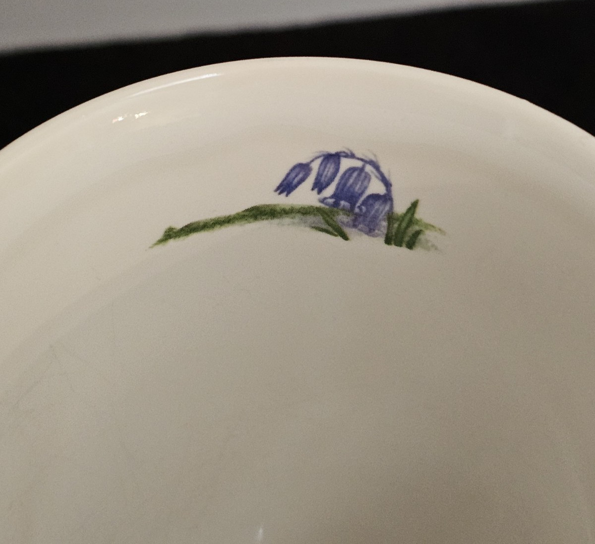 Dunoon Dog Rose & Bluebell Fine Bone China Floral Mugs Set of 2