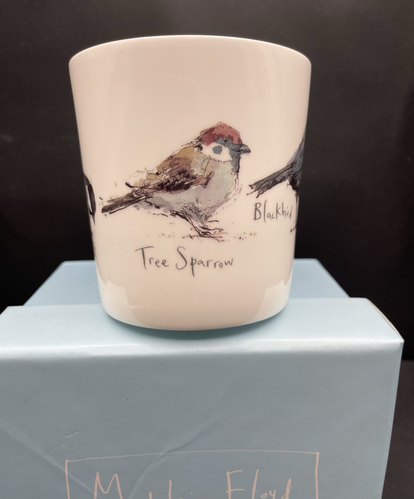 2014 Madeleine Floyd Bone China Mixed Birds Mug Otter House England New In Box