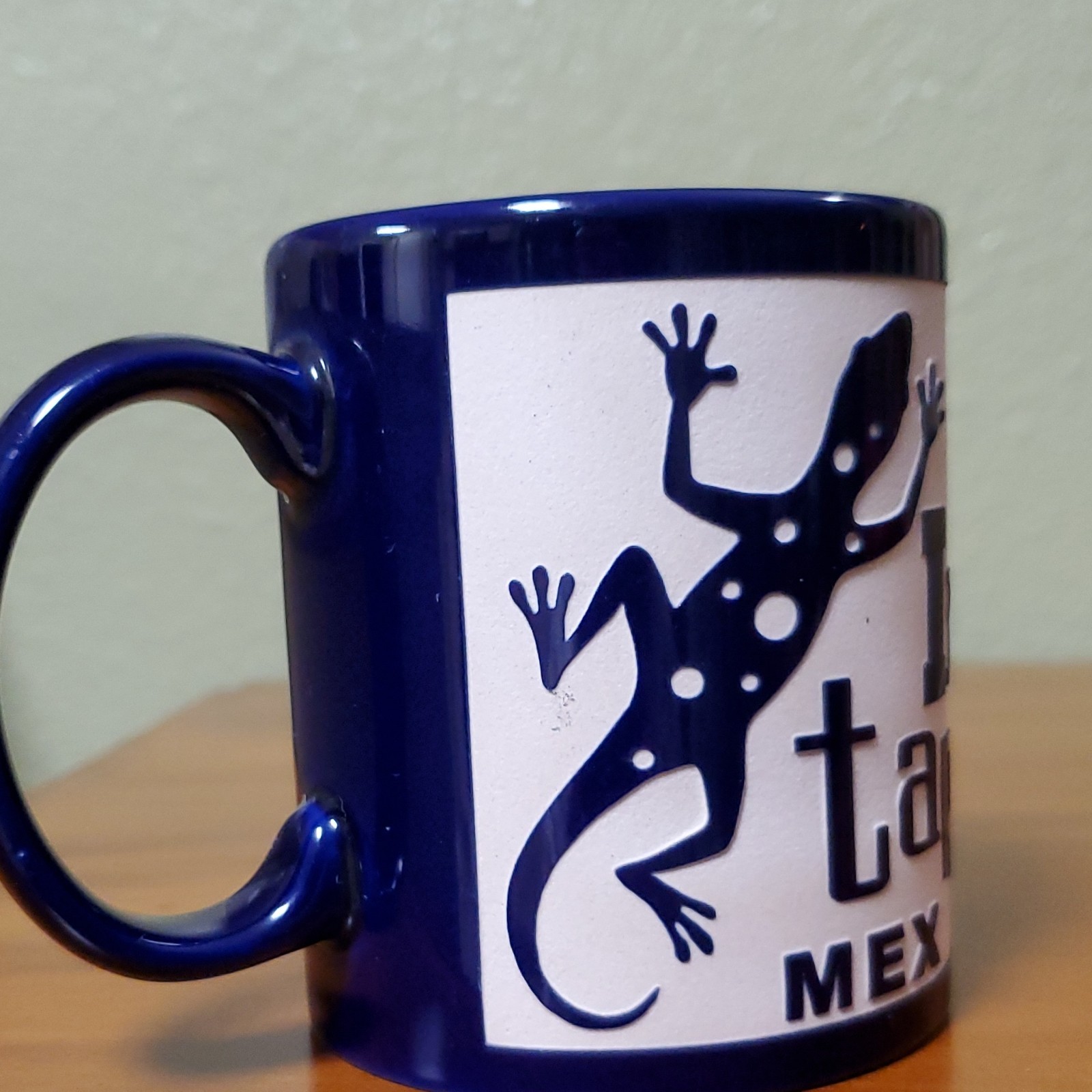 Blue & White Ceramic Coffee or Tea Mug 8 fl oz “Ix tapa MEX” Lizard Mexico Decor