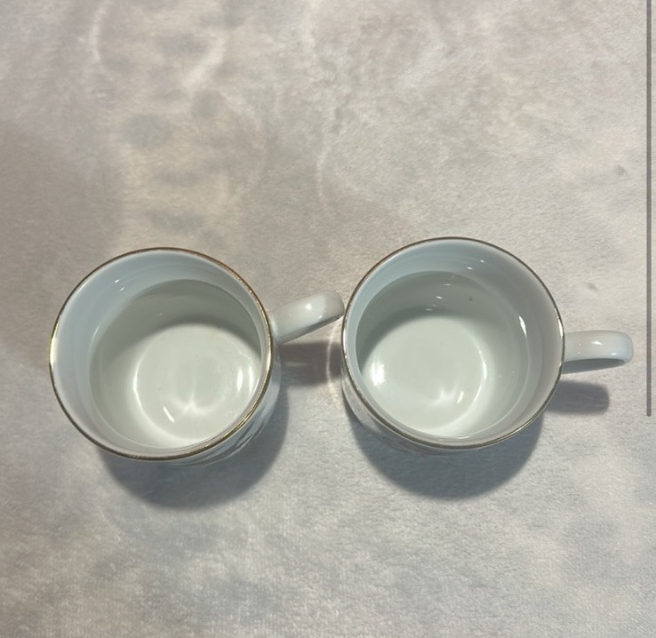 Vtg 2 Bareuther Waldsassen Bavaria Germany China Cups. Birds Flowers Pink Yellow