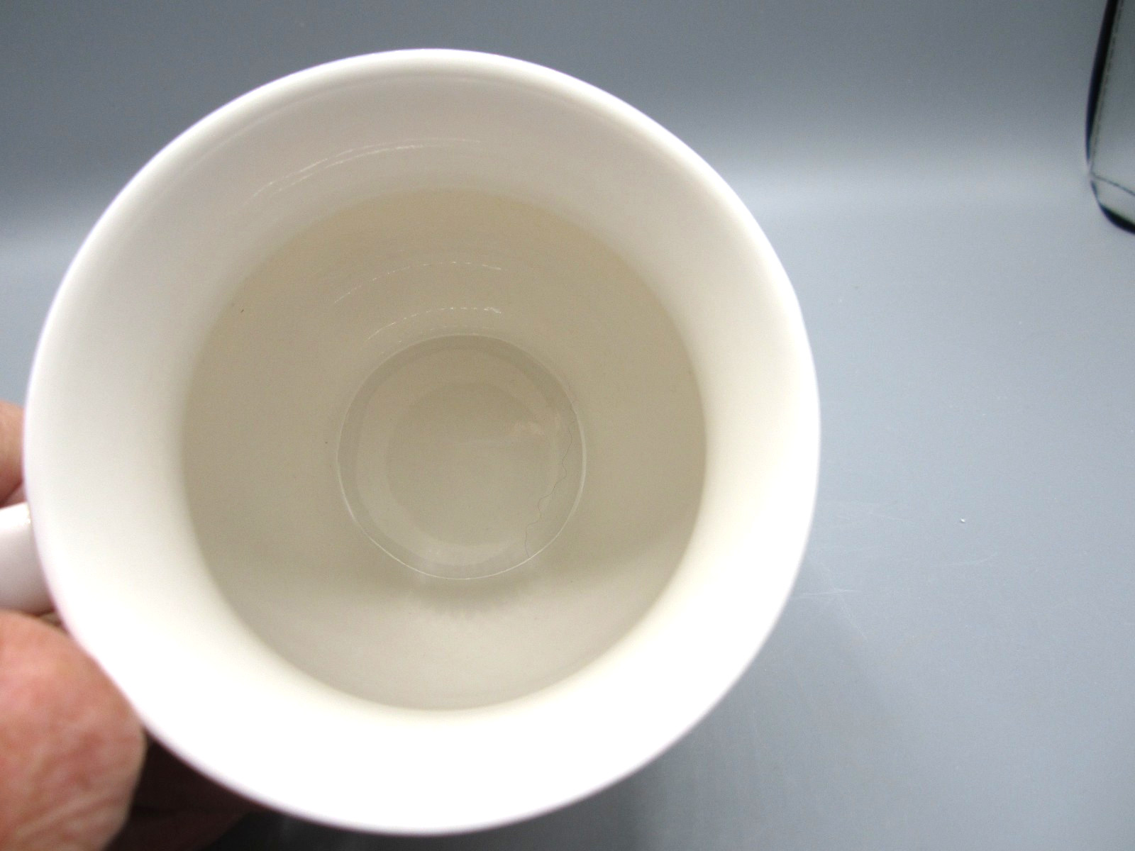 Grace Teaware White Dark Blue Birds Fine Porcelain Tea Coffee Mug 14 oz. (544)