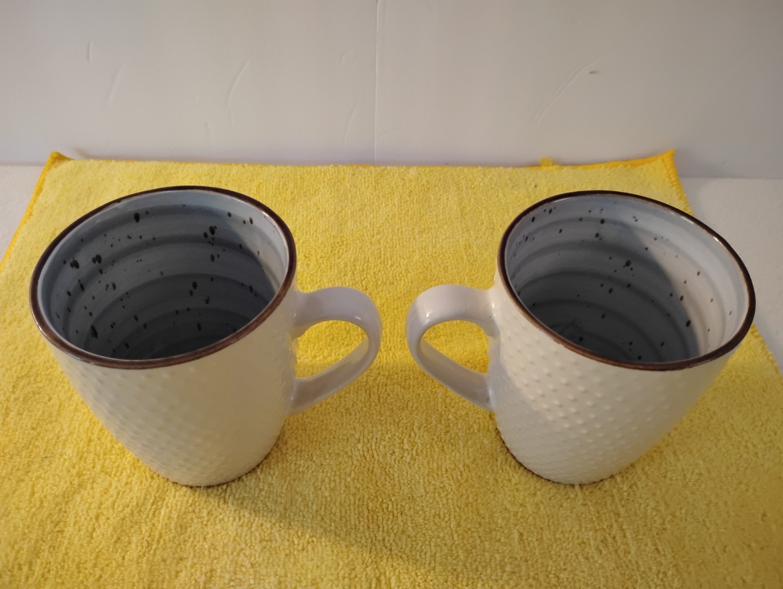 Elama Embossed Stoneware Mellow Powder Blue Dotted Speckled Coffee Mugs Set Of 2