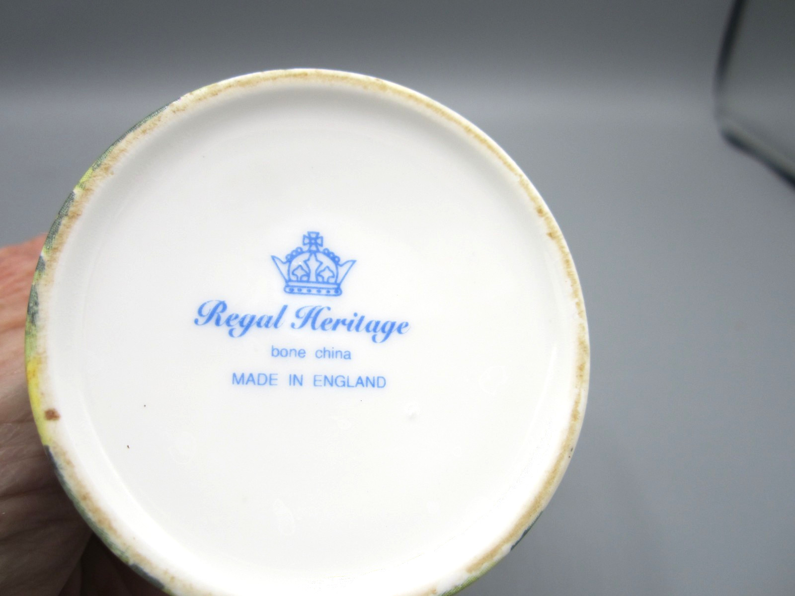 Royal Heritage England, Multi-color Primula Floral Tea Coffee Cup 8 oz (499)