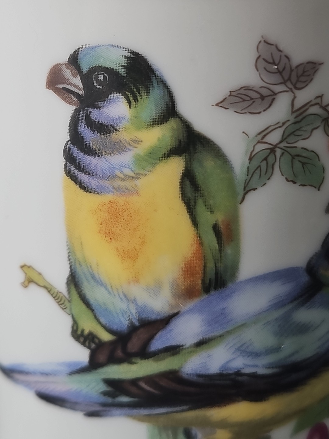Royal Crown Birds Coffee Mug Gold Trim Fine Porcelain Floral Bird Cup