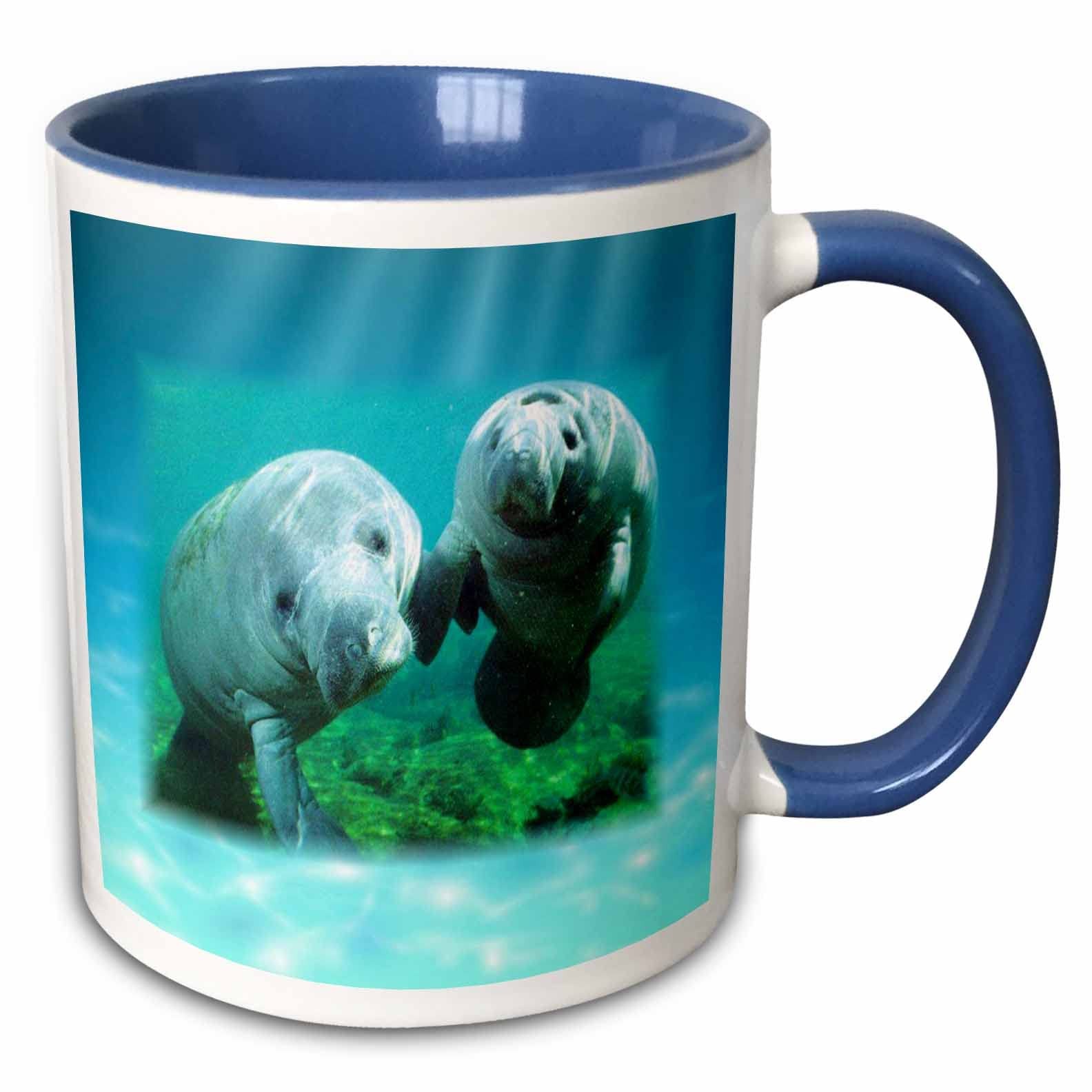 3dRose 2 Manatees Looking at You Mug 11oz Two Tone Blue Ocean Animal Gift