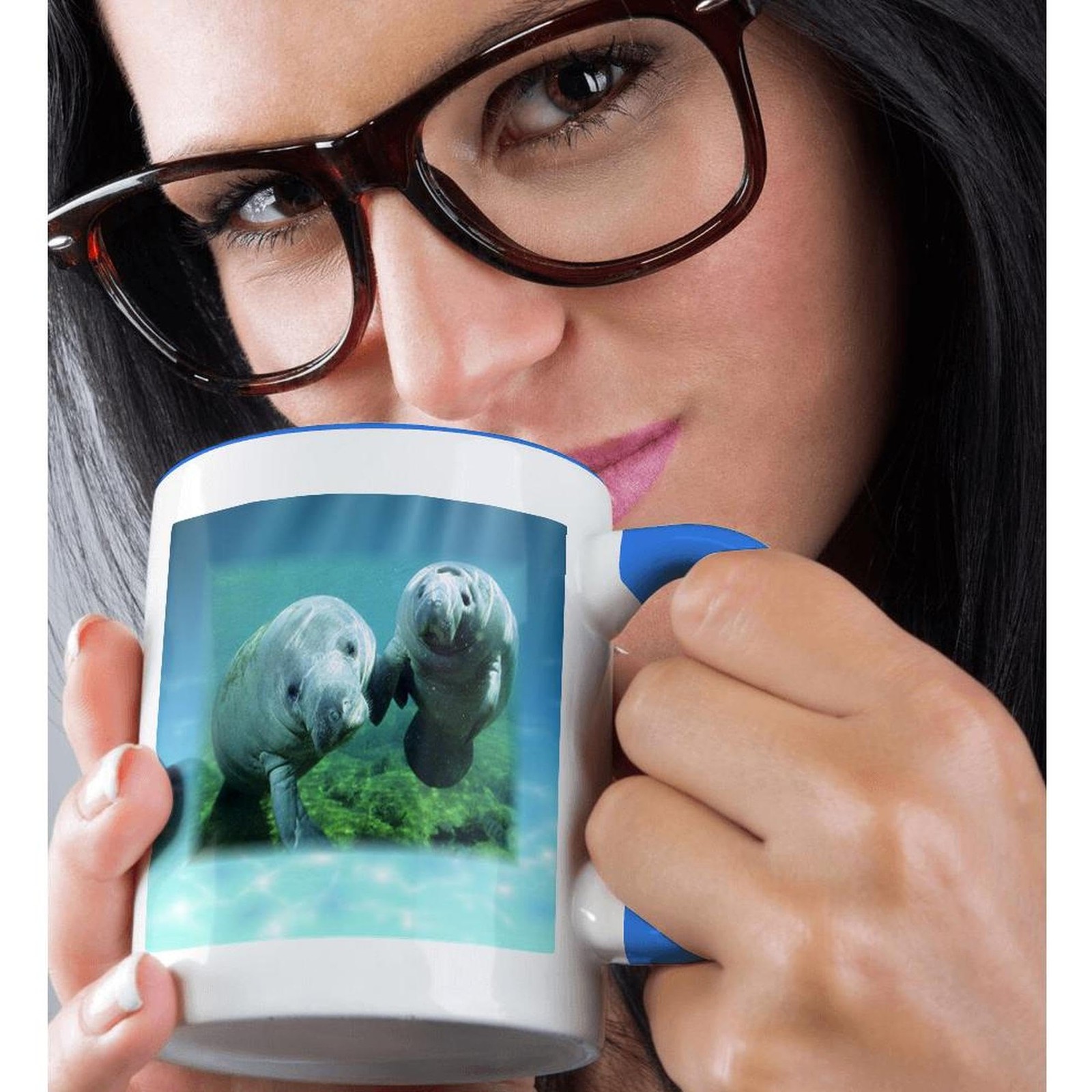 3dRose 2 Manatees Looking at You Mug 11oz Two Tone Blue Ocean Animal Gift