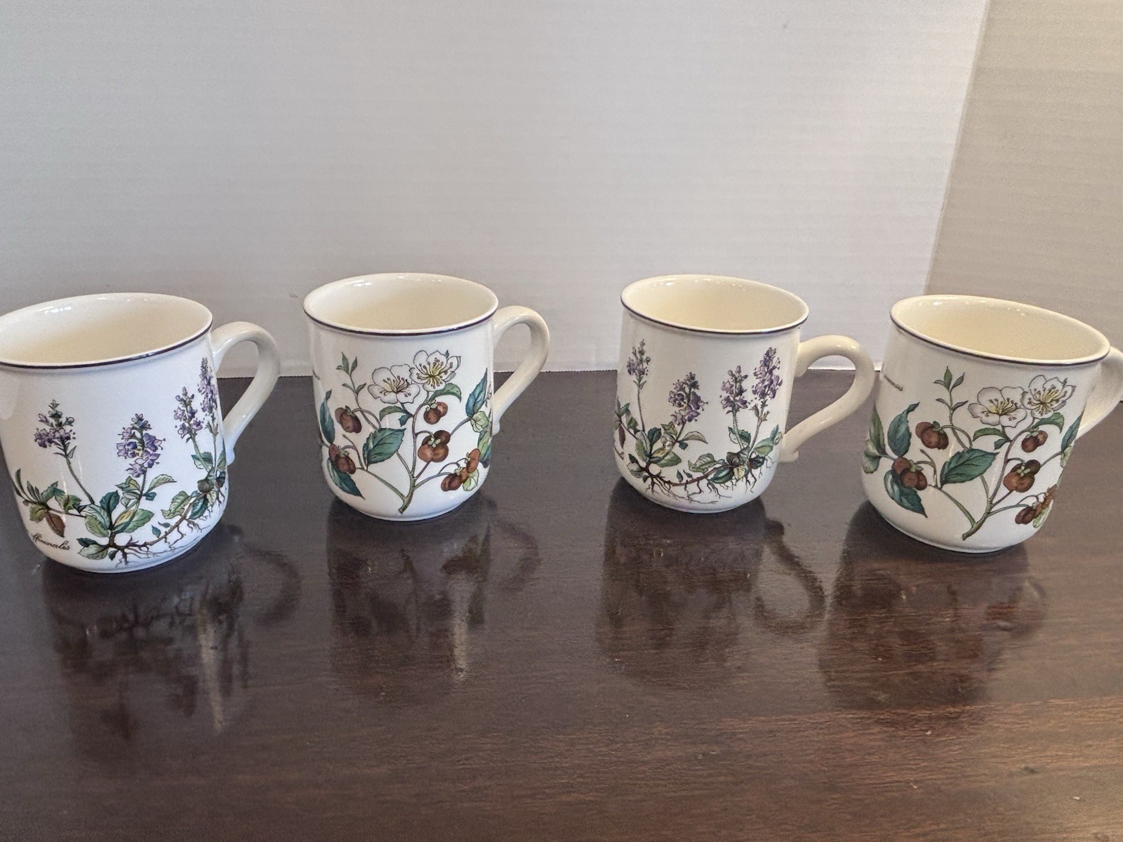 Villeroy Boch Botanica Mugs Set of 4 Veronica Officinalis Camellia Sinensis
