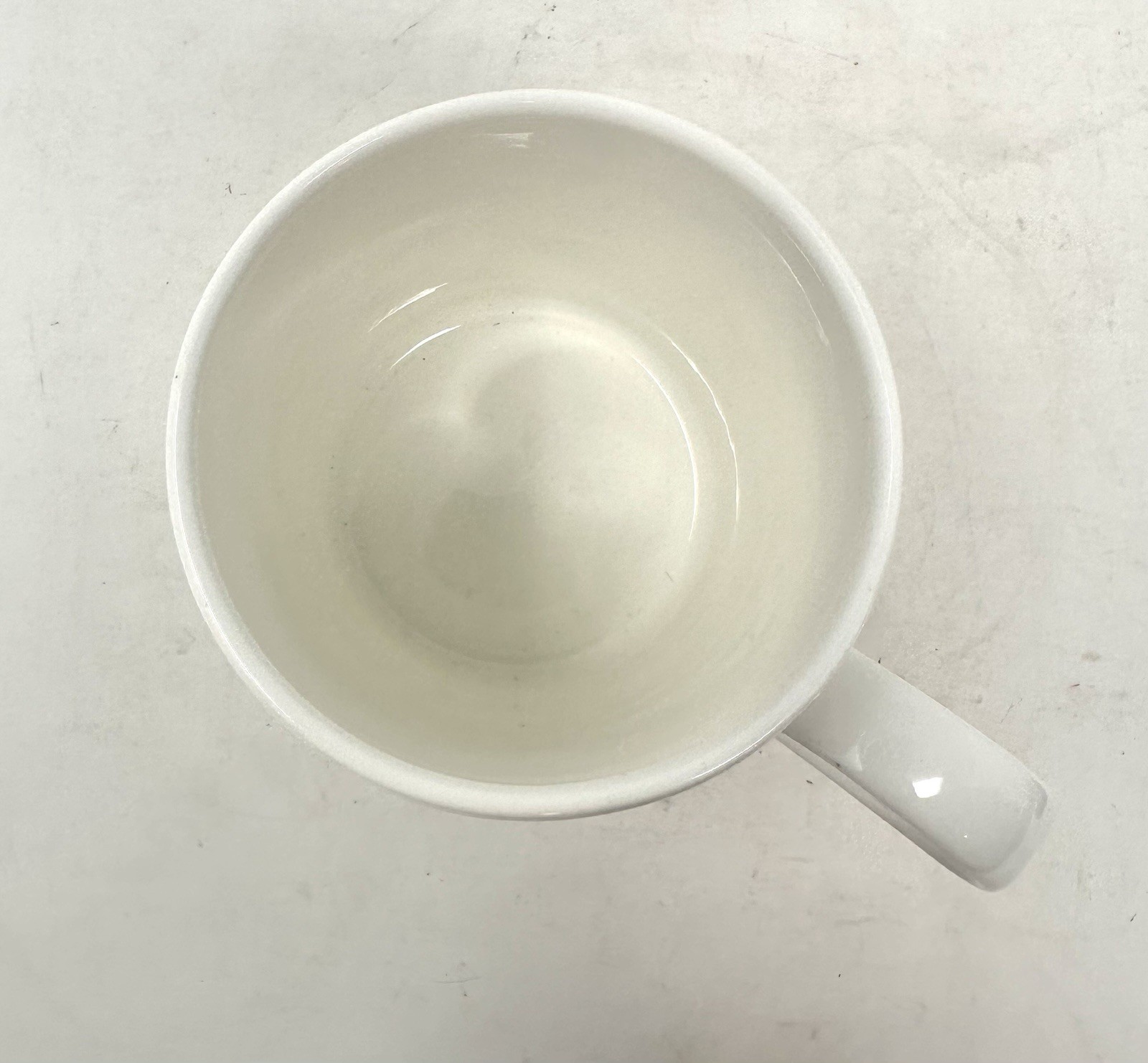 Roy Kirkham Swallow Birds Designed For RSPB Coffee Mug Made In England New