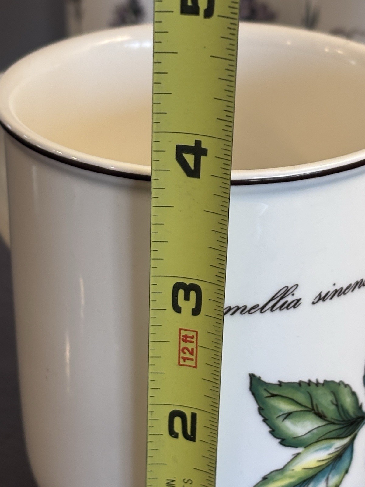 Villeroy Boch Botanica Mugs Set of 4 Veronica Officinalis Camellia Sinensis