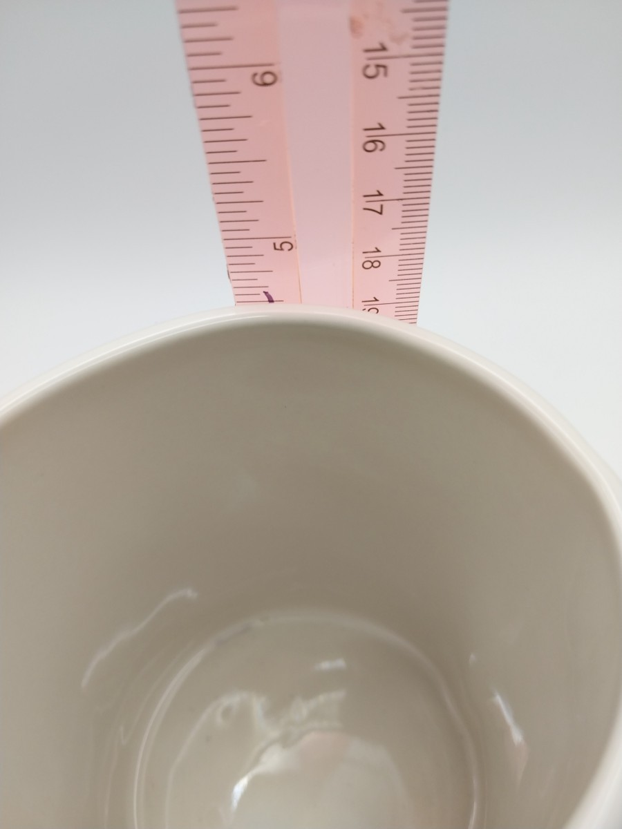 Rae Dunn You’re on Mute Ceramic Coffee Mug White Artisan Dishwasher Safe New