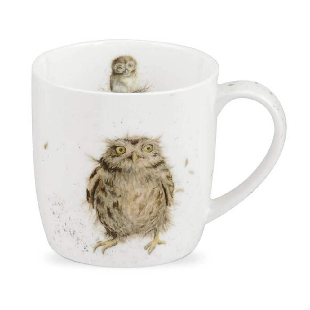 What A Hoot – Owl Mug – Royal Worcester 14 oz