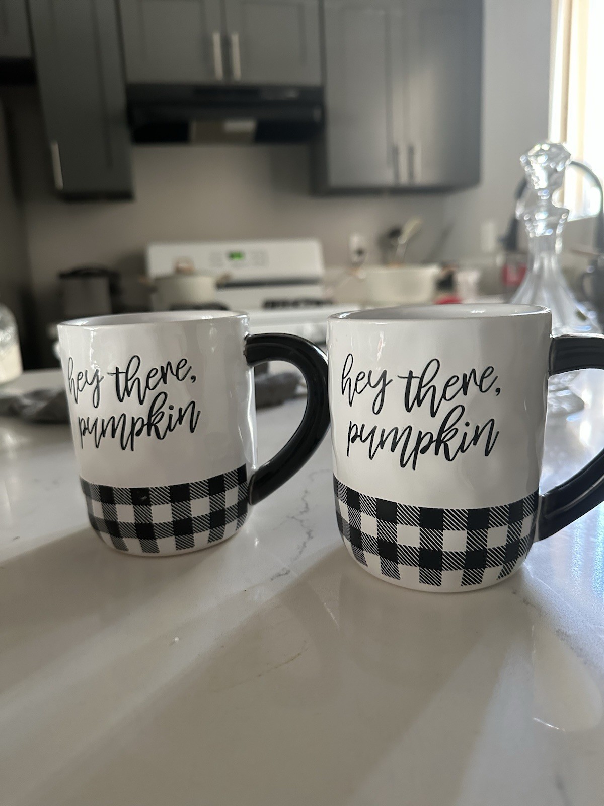 Hey There Pumpkin Ceramic Coffee Mug Set 2pc 13 fl oz White Black Check