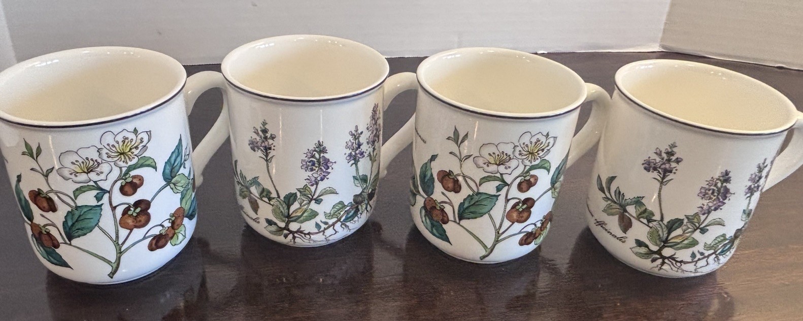 Villeroy Boch Botanica Mugs Set of 4 Veronica Officinalis Camellia Sinensis