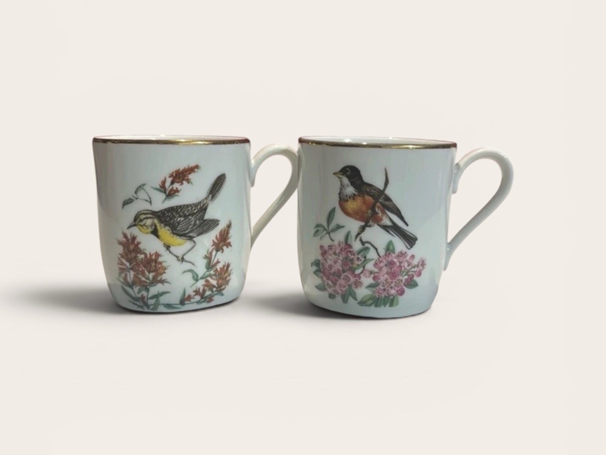 Vtg 2 Bareuther Waldsassen Bavaria Germany China Cups. Birds Flowers Pink Yellow