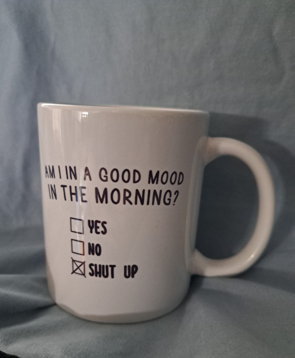 Coffee cup – Am I In A Good Mood In The Morning – Funny Mug – yes, no, shut up