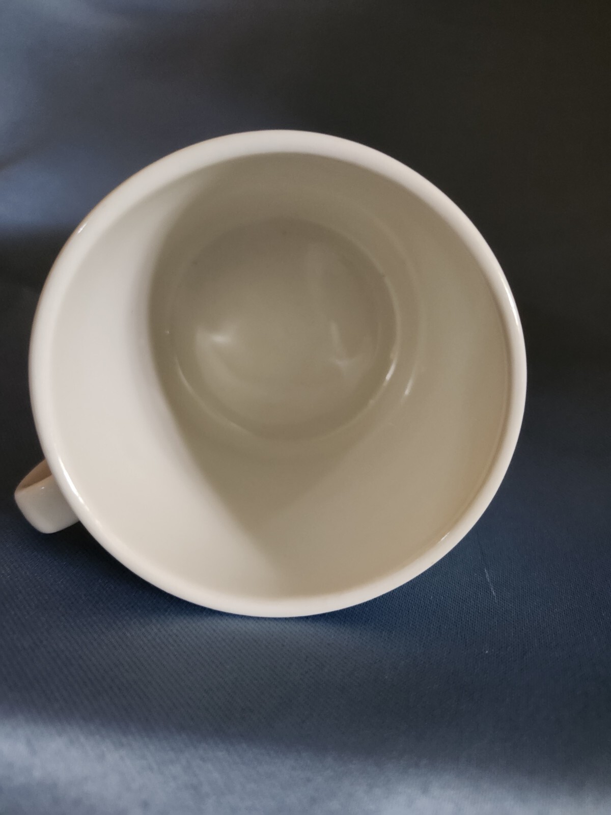 RARE! Villeroy & Boch Floral GLADIOLA flower 10 oz Cup Mug made in Luxembourg