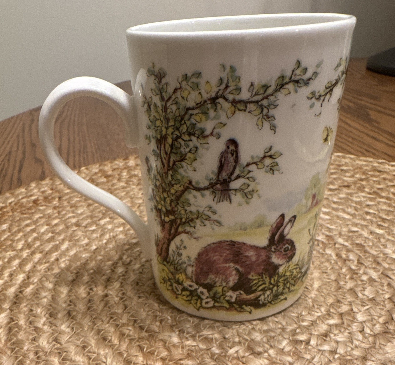 Fine Bone China Made in England 8fl oz Coffee Mug Rabbit & Birds Floral