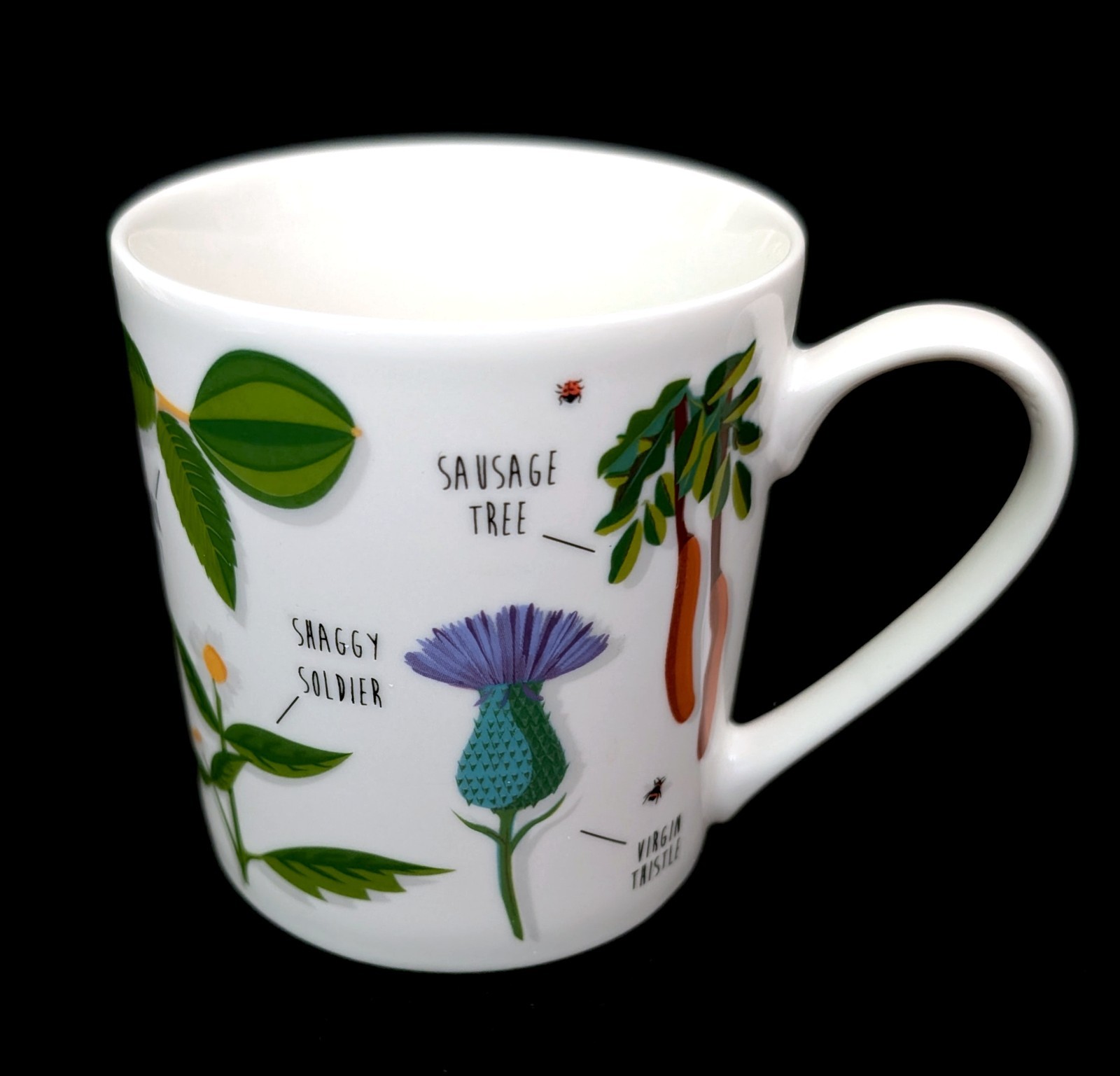 Ginger Fox Mug ~ Ridiculously Rude Plants ~ Adult Botanical Humor ~ 2019