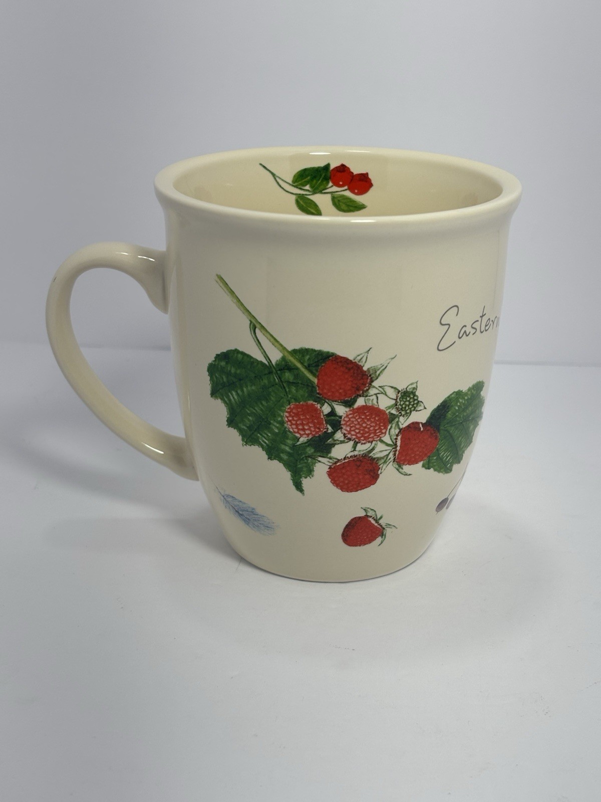 CJ Wildlife Eastern Bluebird Ceramic Coffee Mug Tea Cup 12oz