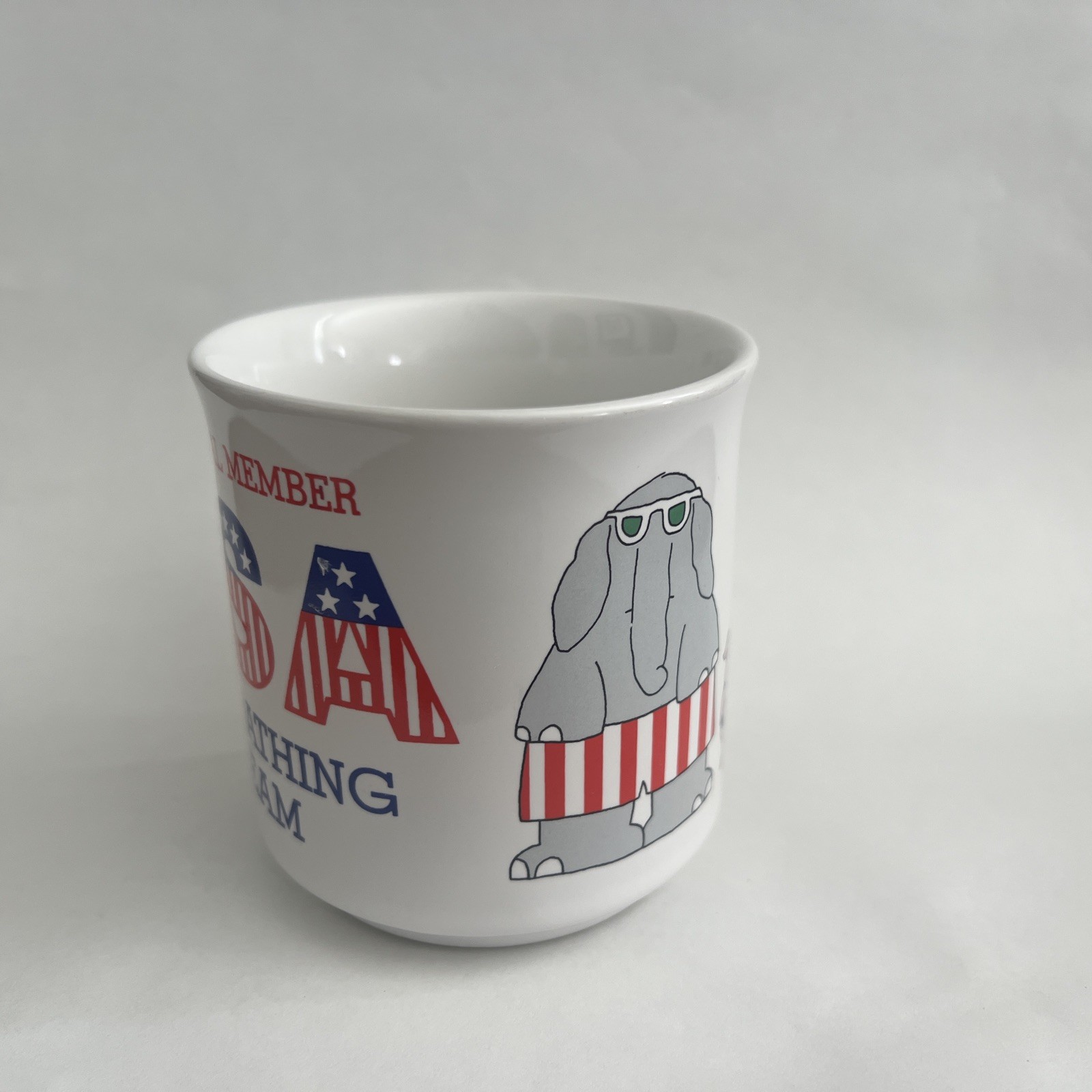 “Official Member USA Sunbathing Team” Mug – Animals In Swimsuits – Sandra Boyton