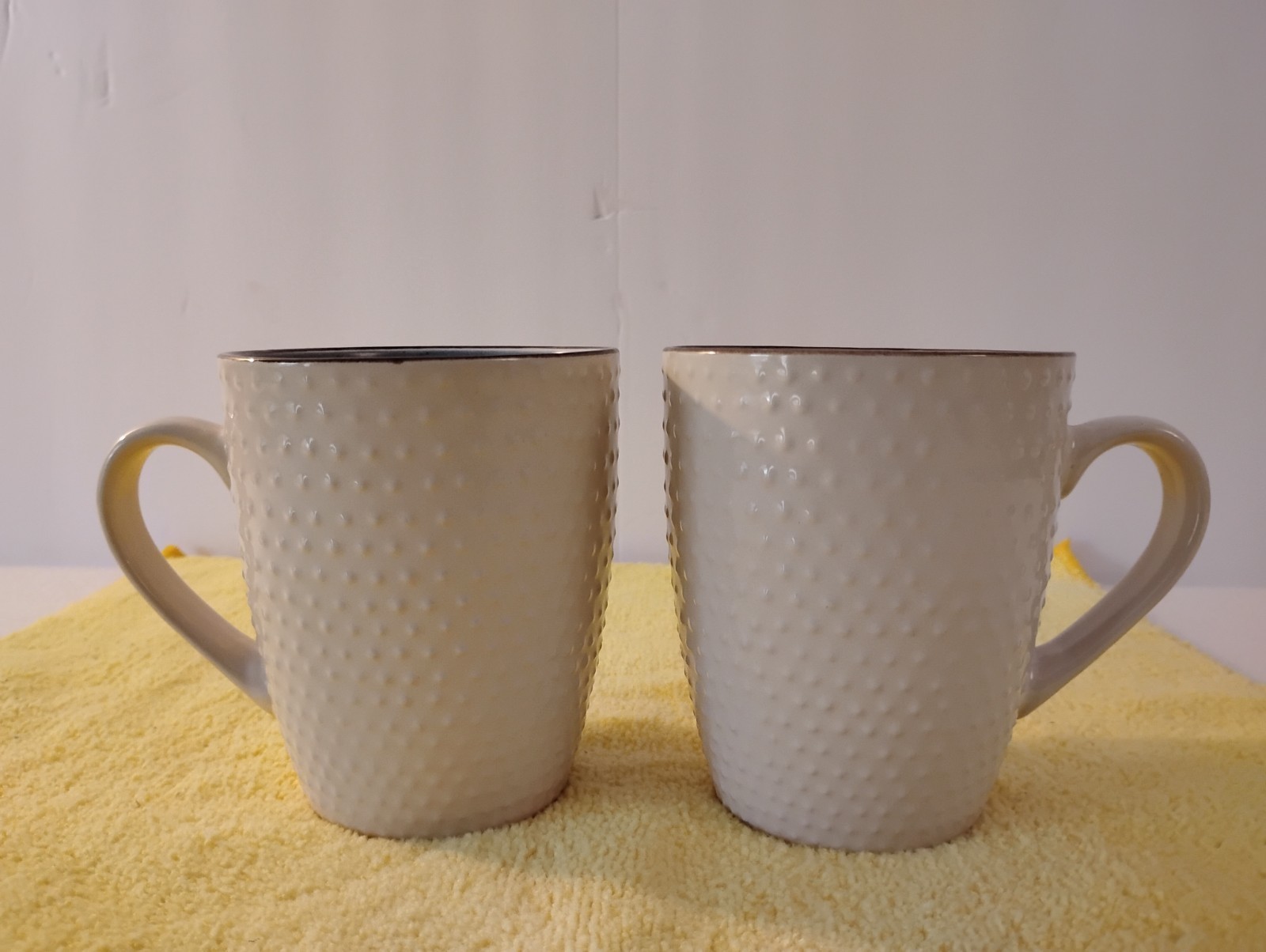 Elama Embossed Stoneware Mellow Powder Blue Dotted Speckled Coffee Mugs Set Of 2
