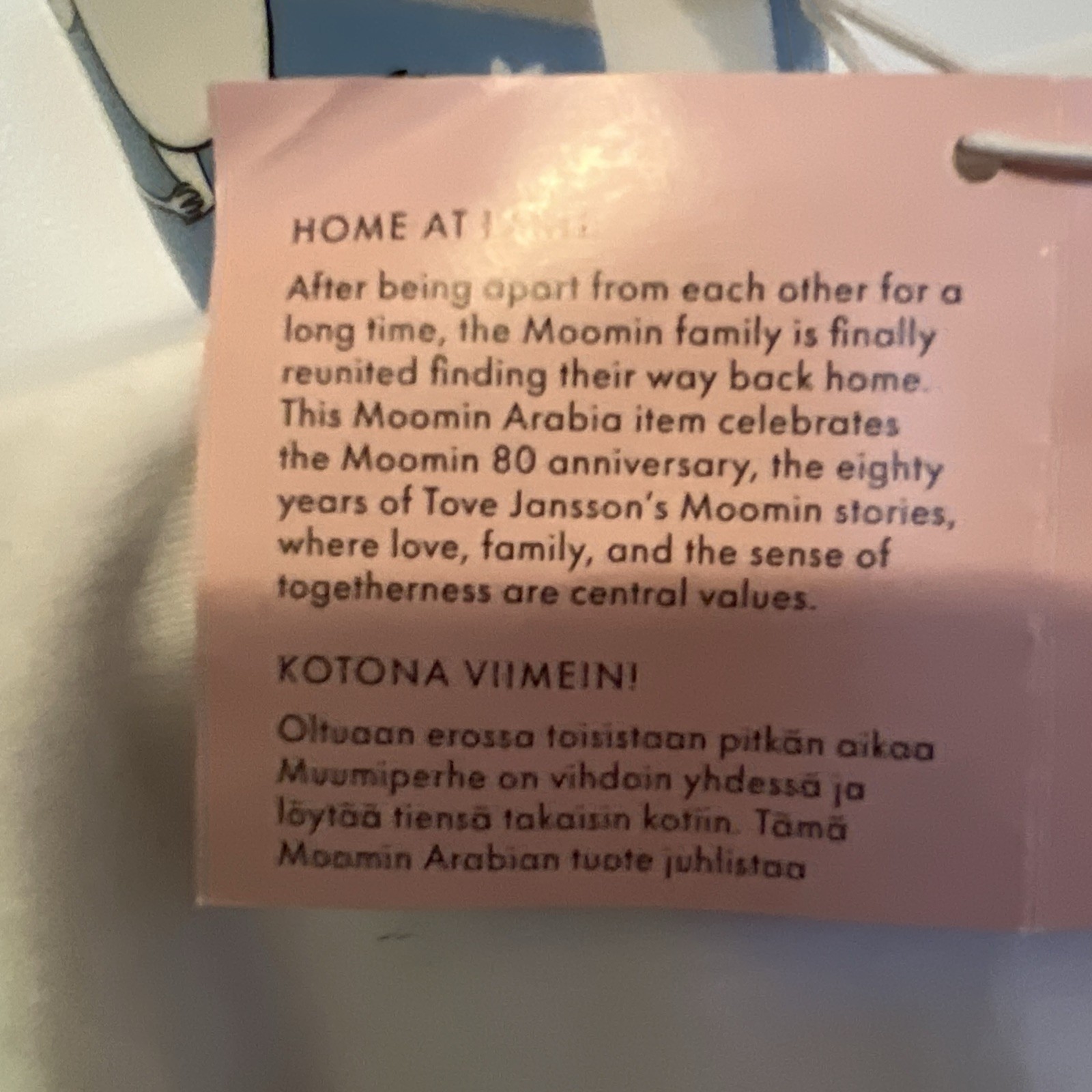 Moomin Family Arabia Finland 80 Anniversary Home At Last Mug Pink Nwt New Tags