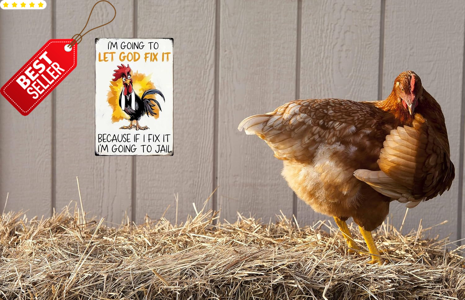 Funny Christian Chicken Tin Sign Home Farm Coop Kitchen Garden 8×12 – US