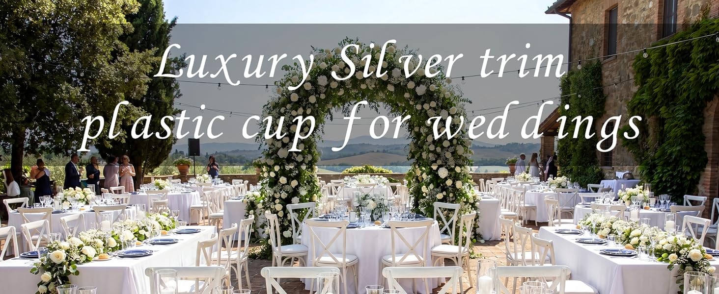 Clear Plastic Cups with silver Trim – Plastic Disposable Cups, Heavy Duty &