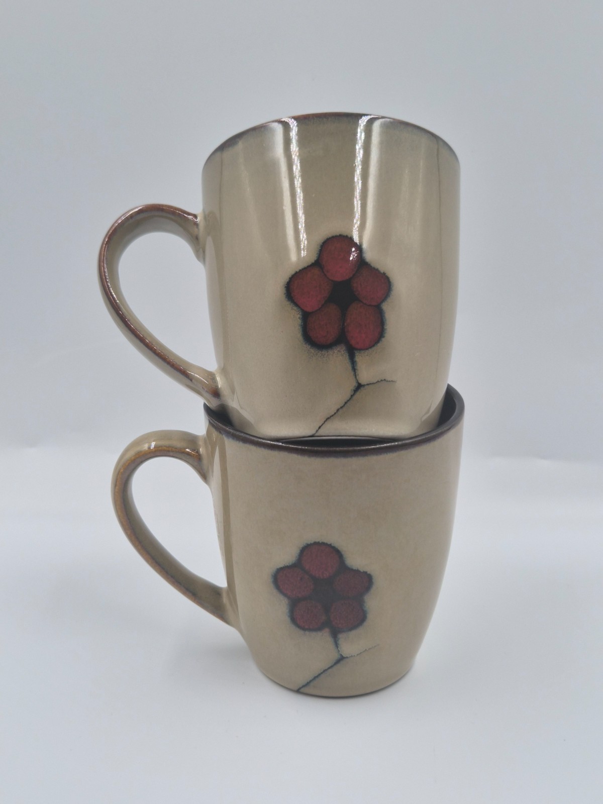 🔥 2 Pfaltzgraff Studio ASTER Coffee Mug Set – red flowers