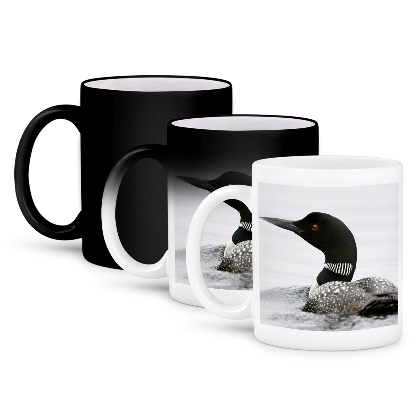 3dRose Common Loon Gavia immer Haliburton Magic Mug 11oz Color Changing