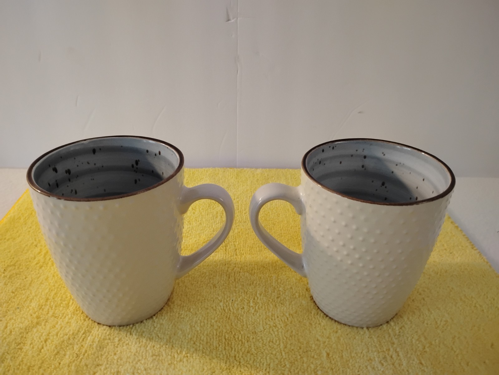 Elama Embossed Stoneware Mellow Powder Blue Dotted Speckled Coffee Mugs Set Of 2