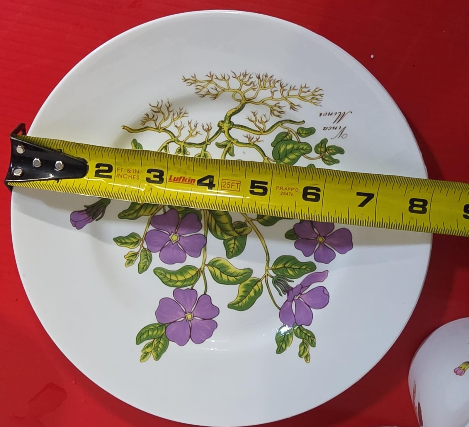 VINTAGE QUEEN’S ROSINA FINE BONE CHINA MUG & SMALL PLATE FLORA BOTANICA COLLECT