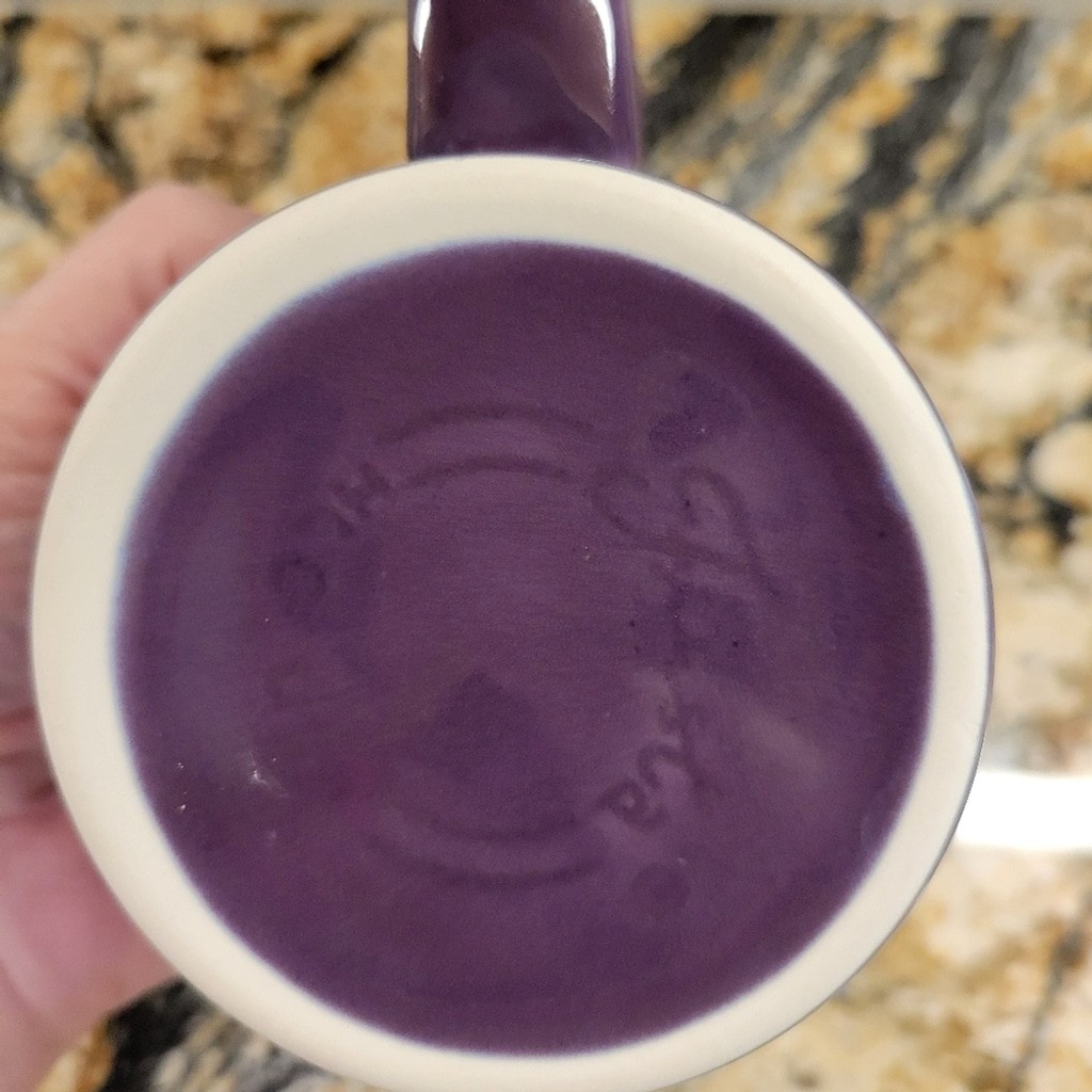 Fiesta 15 OZ Tapered Mug Mulberry