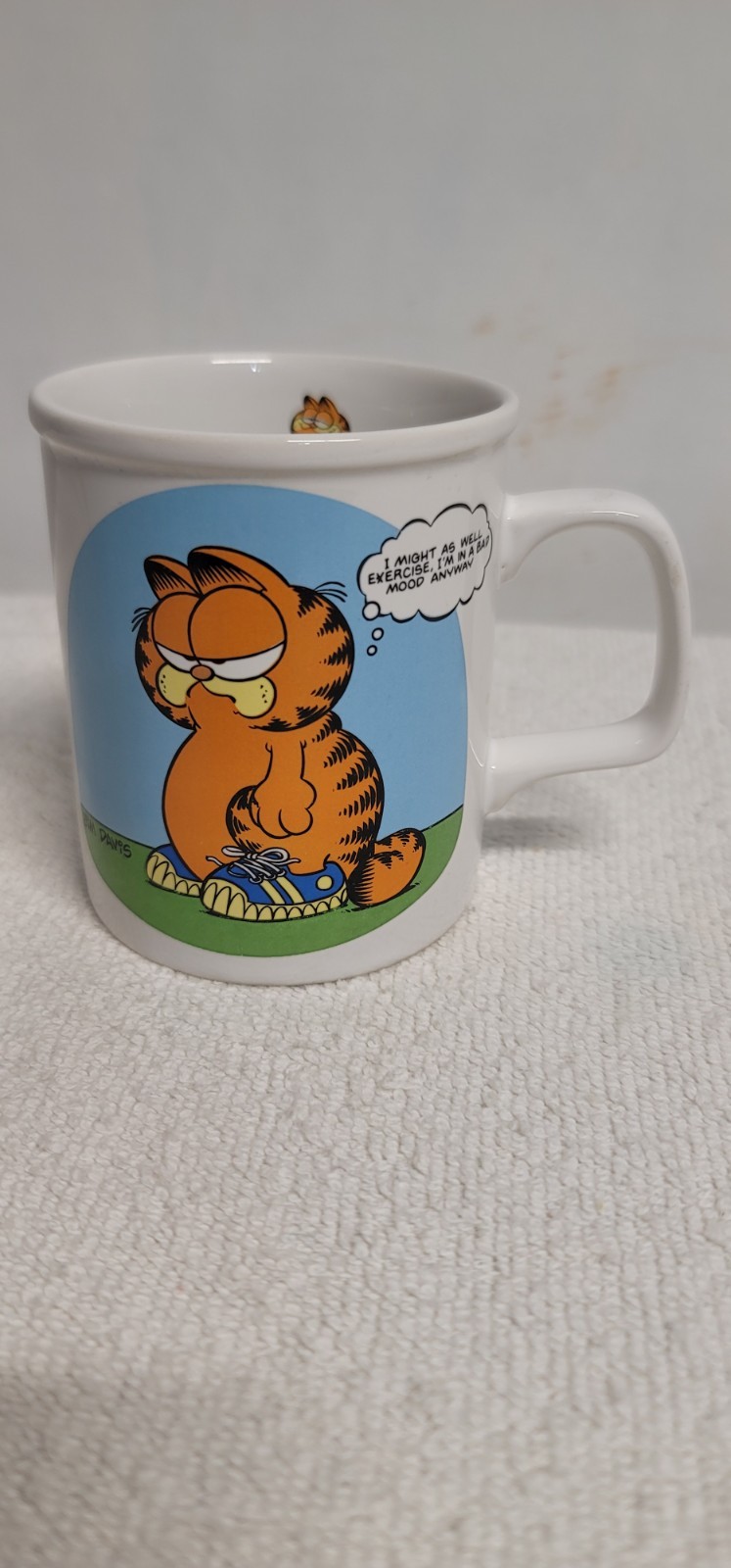 JIM DAVIS GARFIELD MULTICOLOR 250 ML COFFEE MUG