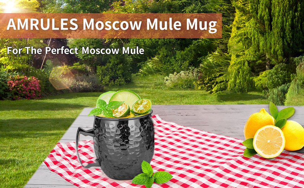 Moscow Mule Mugs, 16 OZ Black Hammered Mule Cup with 304 Stainless Steel Lining