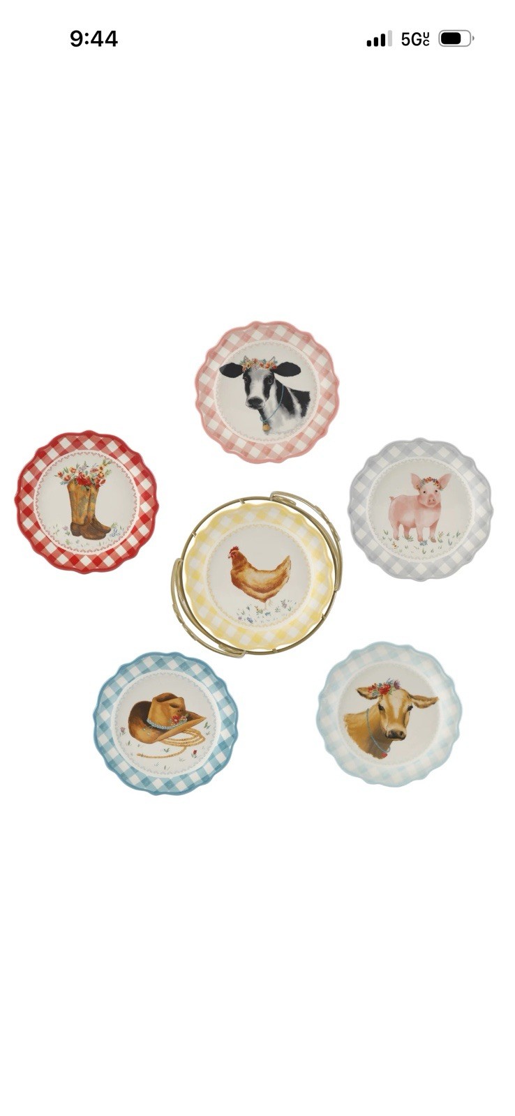 Pioneer Woman Novelty 6 Piece 7 Inch Plates With Metal Rack Gingham Farm Design