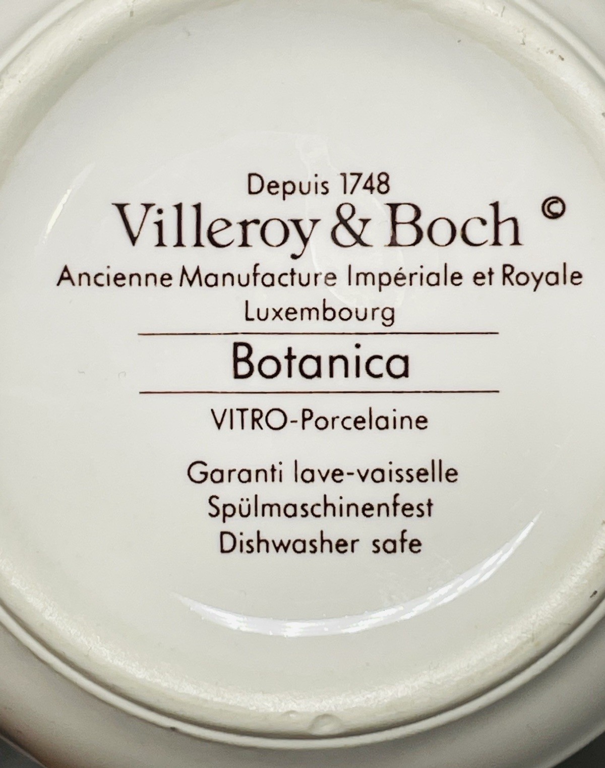 Depuis 1748 Villeroy & Boch Botanica VITRO-Porcelain Coffee/Tea Mug/Cup.