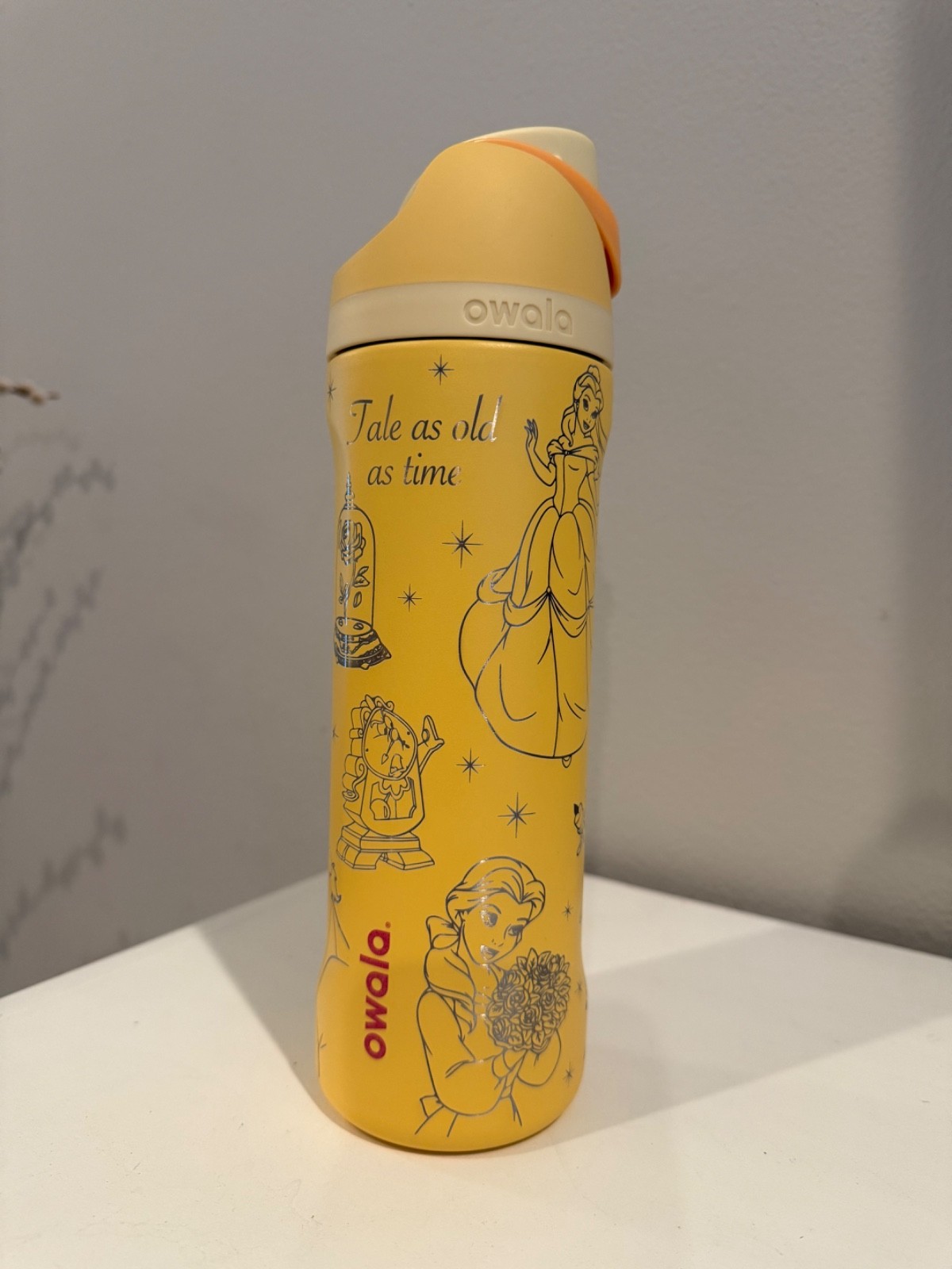Engraved Owala Princess with Beauty and the Beast inspired design, Belle Owala