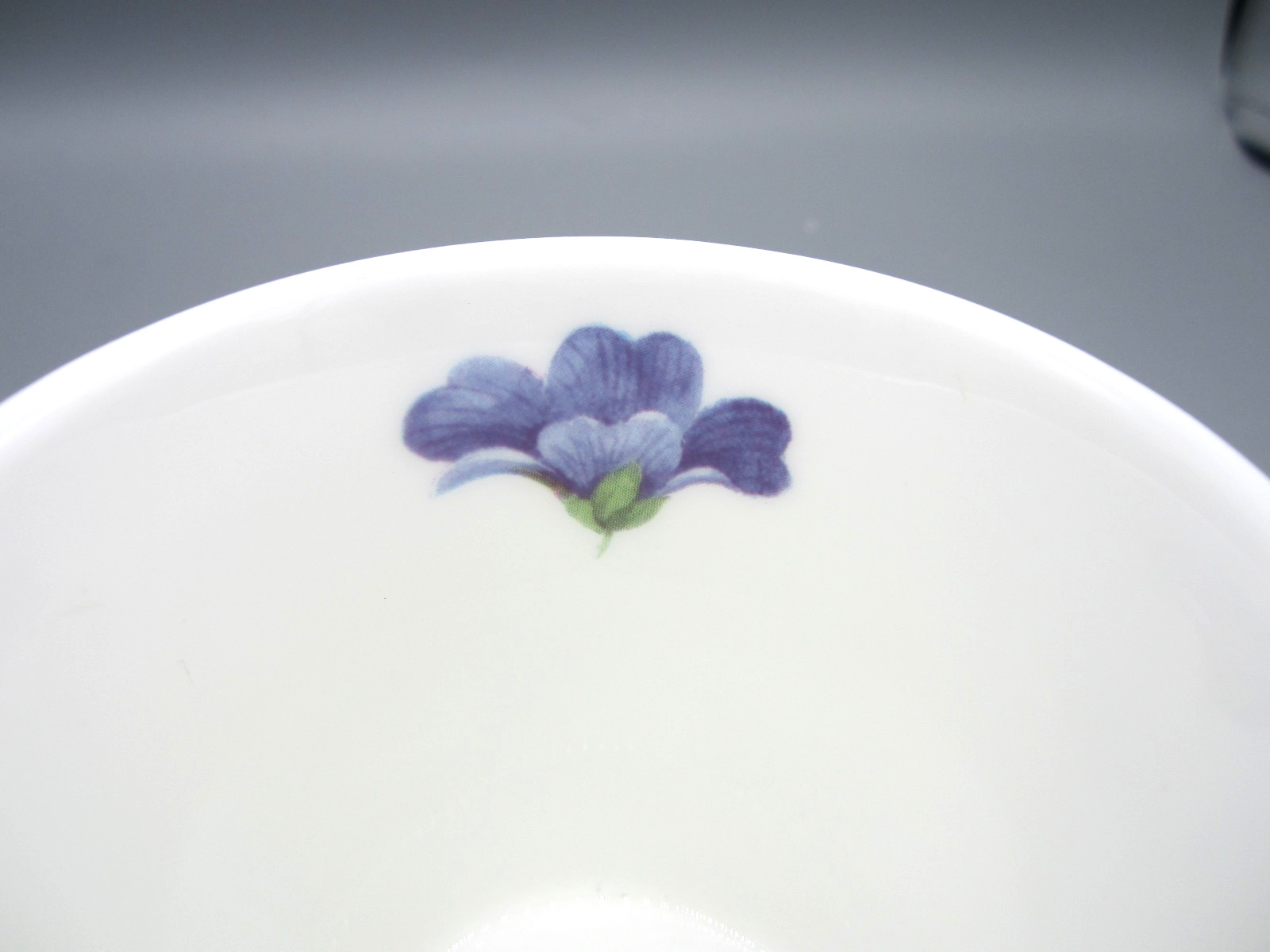 Royal Heritage England, Multi-color Primula Floral Tea Coffee Cup 8 oz (498)