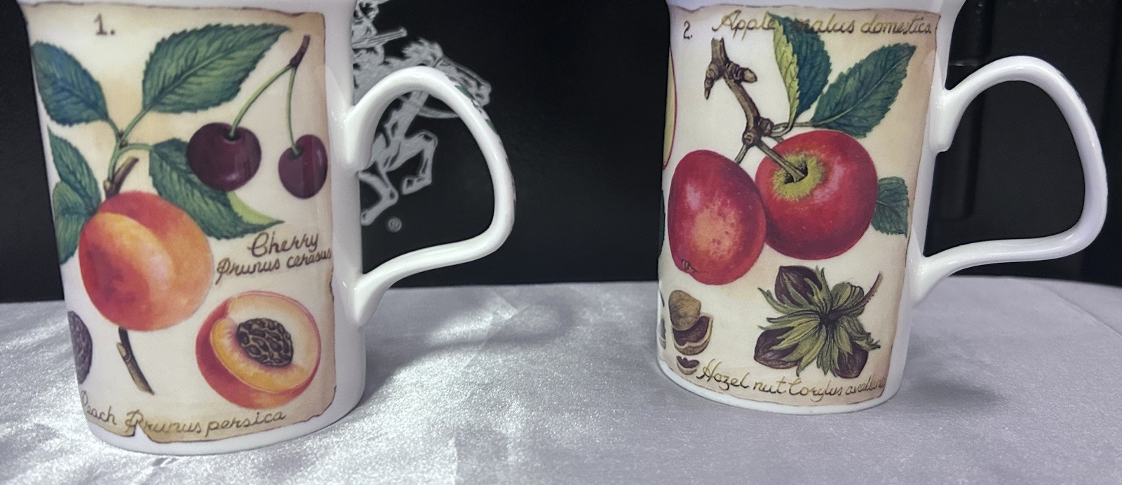 The Lascelles Collection Fine Bone China 2pc 11oz Fruit Veg Mugs MW/DS Safe