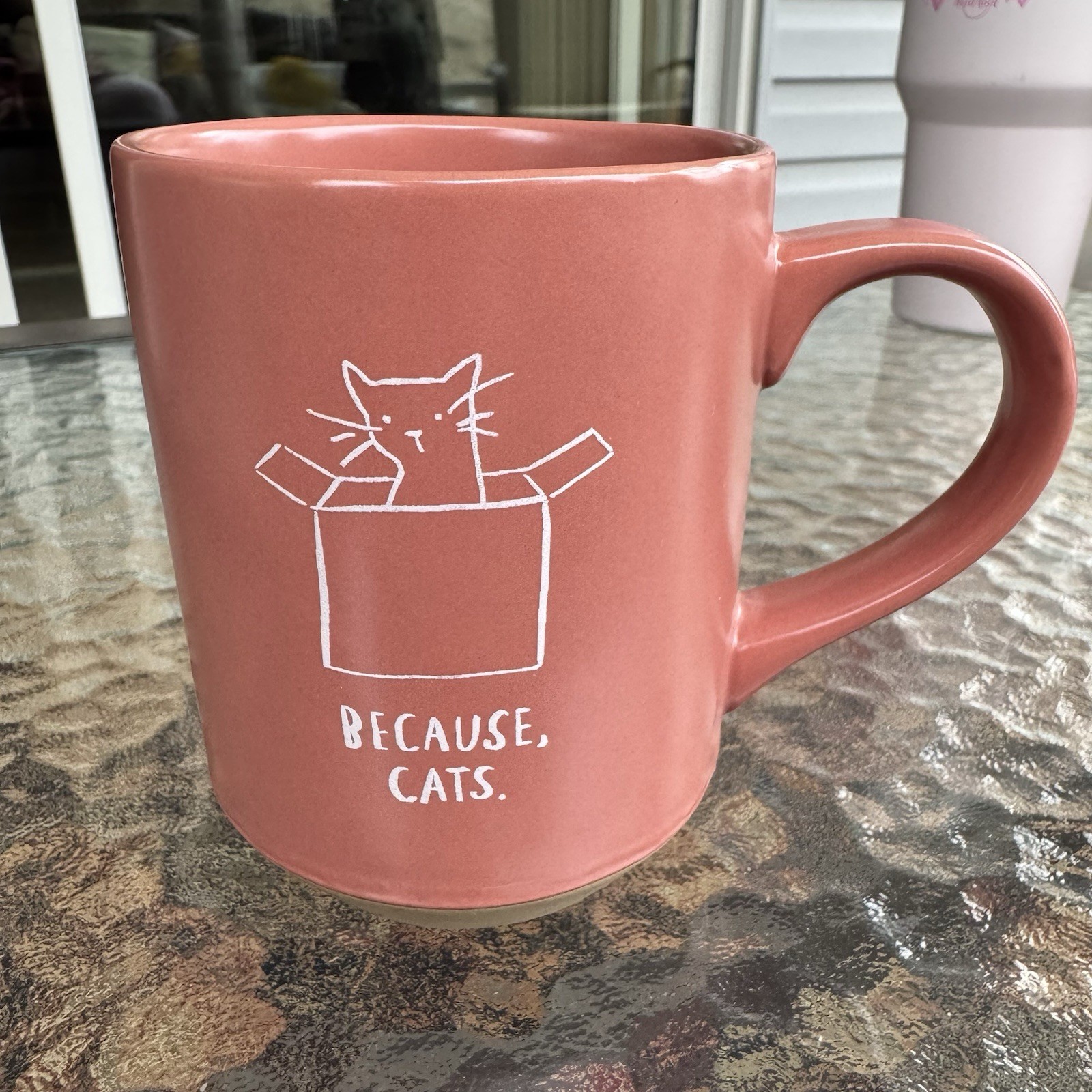 Because Cats Coffee Mug Pet Shop Fringe Studio Mauve Stoneware Cat in a Box