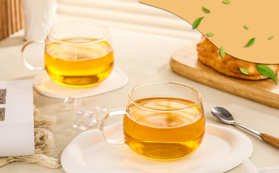 Glass Tea Cups Set of 2, Clear Borosilicate Glass Teacups with Handle for