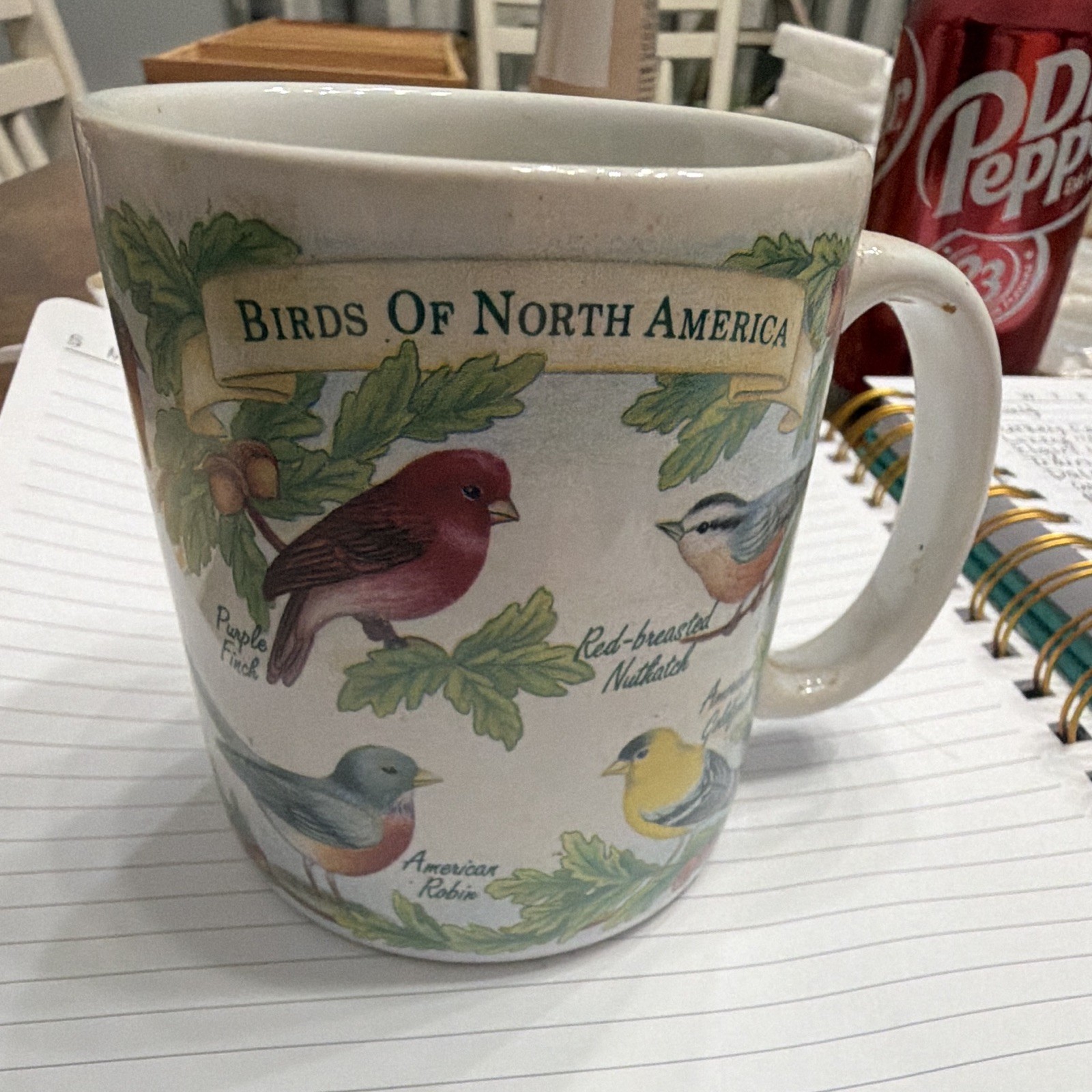 Birds of North America Bird Pattern Ceramic Coffee Mug 12 fl oz White/Multicolor